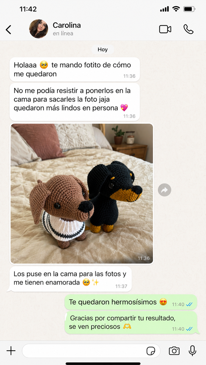 Reseña real de una alumna por WhatsApp