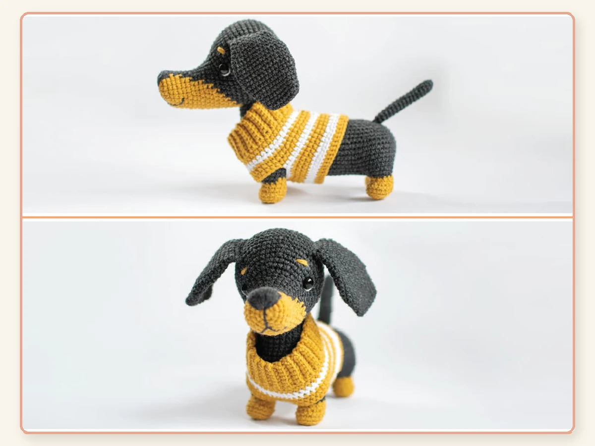 Perrito dachshund tejido visto de lado y de frente