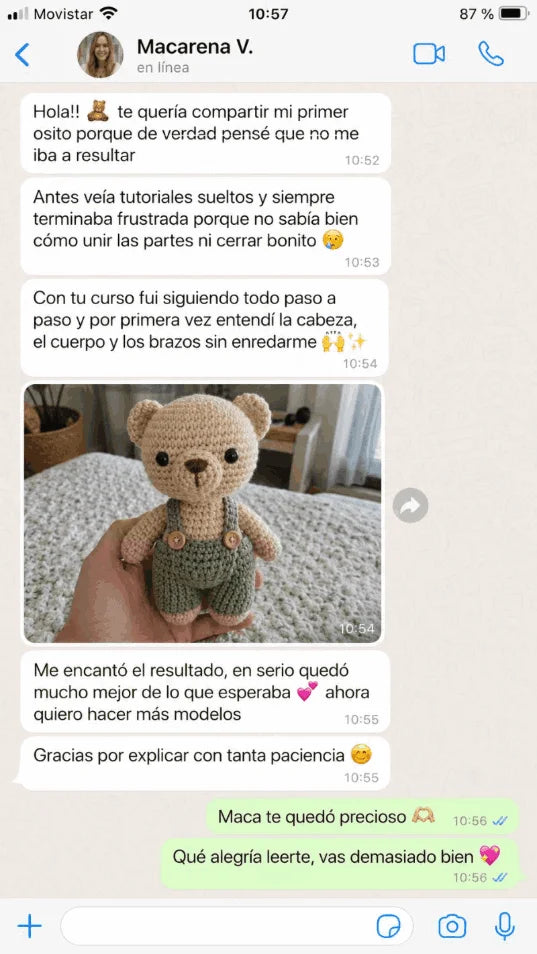 Mensaje compartido sobre el curso de amigurumis