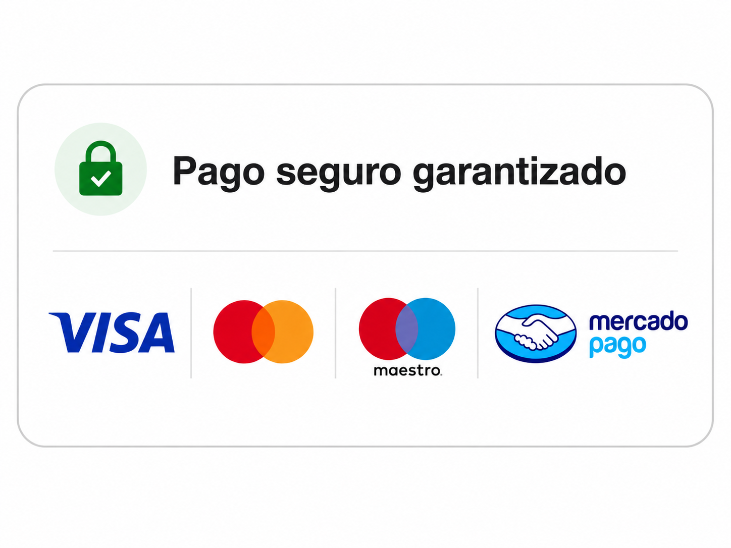 Pago seguro garantizado — VISA, Mastercard, Maestro, Mercado Pago